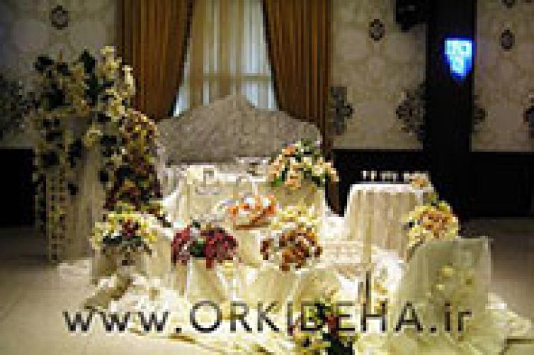 عروس ارکیده ها