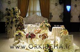 عروس ارکیده ها