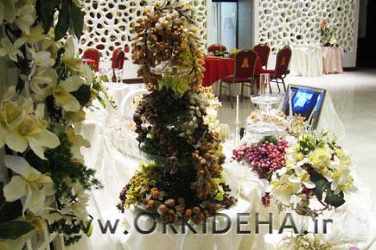 عروس ارکیده ها