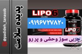 جینسینگ | مگارنج اکستریم | کپسول ریداکتیل | ال کارنیتین | ولکائو | ادیوس | پلاس اسلیمینگ | تینوئیت رتاد 