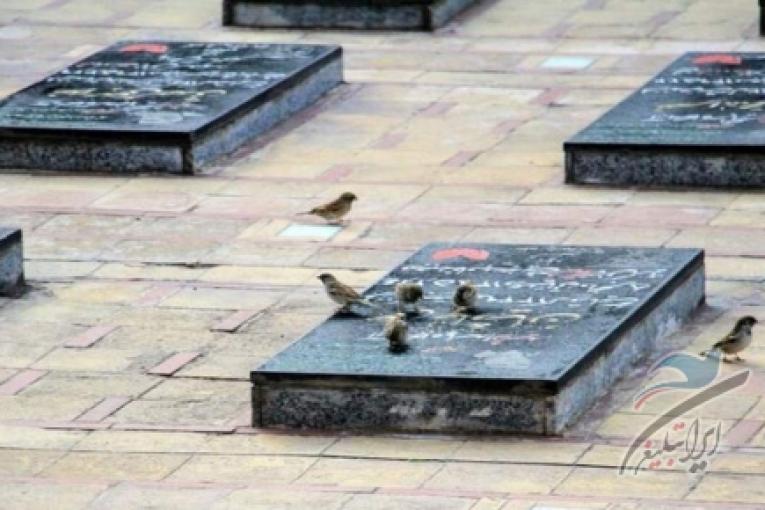 قیمت مربی خصوصی بدنسازی