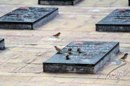 قیمت مربی خصوصی بدنسازی